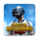 pubg2024°汾(PUBG MOBILE)v3.4.0 ׿