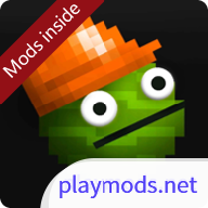 ֳplaymods25.0v25.5 ׿