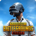 pubgʷ°汾2024(PUBG MOBILE)v3.4.0 °