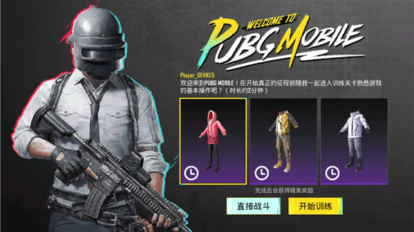 P ubg(PUBG MOBILE)