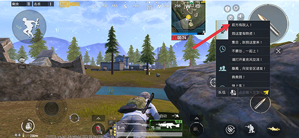 P ubg(PUBG MOBILE)