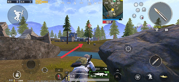 P ubg(PUBG MOBILE)