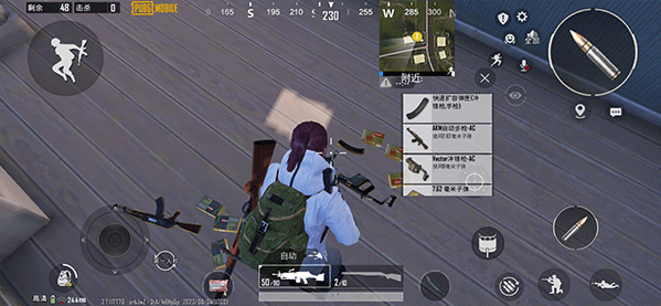 P ubg(PUBG MOBILE)