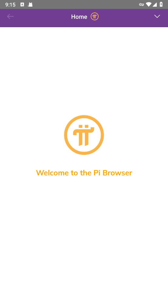 pi׿(Pi Browser)