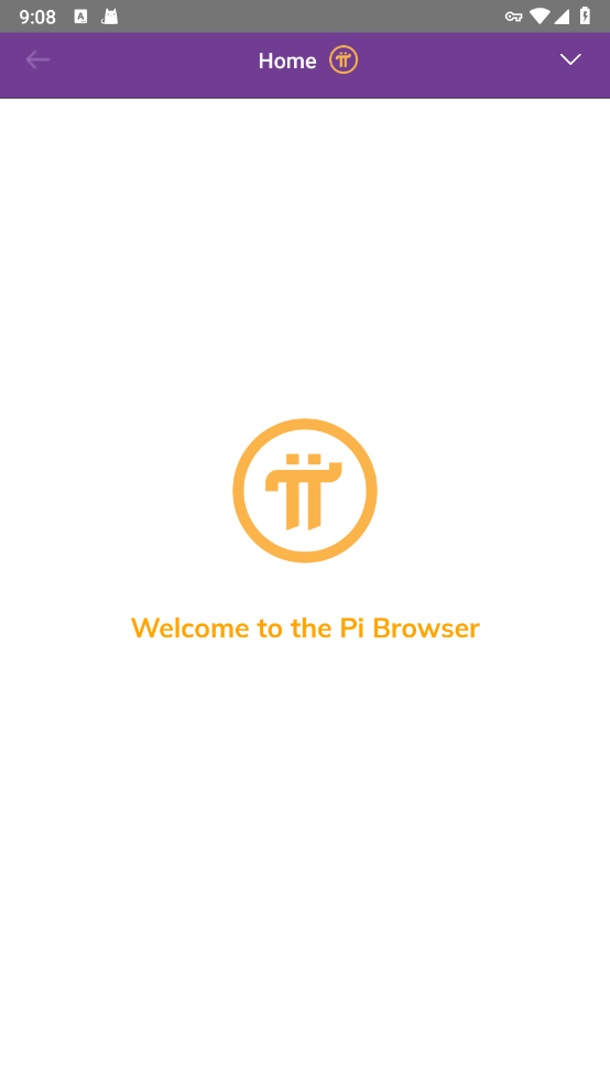 pi׿(Pi Browser)v1.11.0 Ѱ