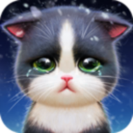 Сè(KittenMatch)v3.9.0 Ѱ