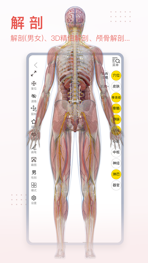 3dbodyappذ׿v8.8.41 Ѱ