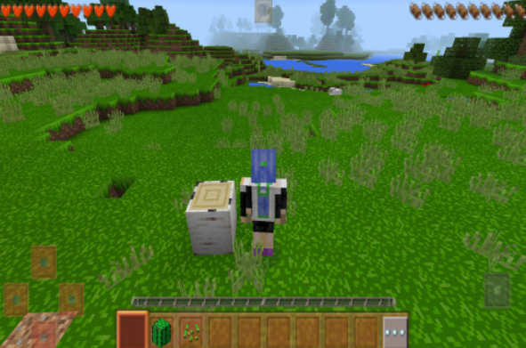 ս2.4İ(Survivalcraft 2)v2.2.10.4 °