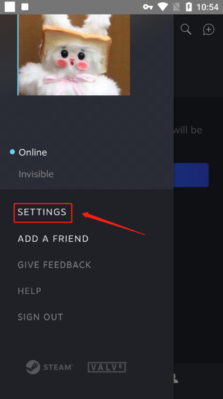 steam chatϷ罻