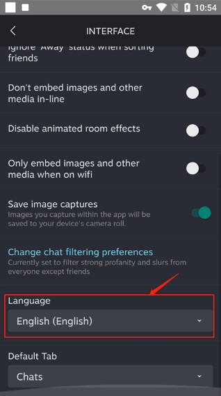 steam chatϷ罻