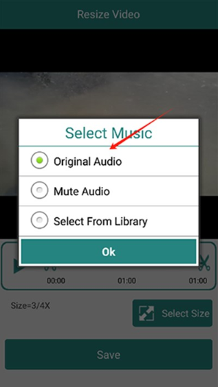 Resize Videoapp