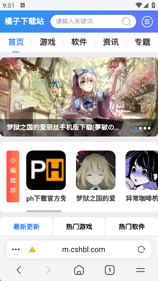 Whale Browser