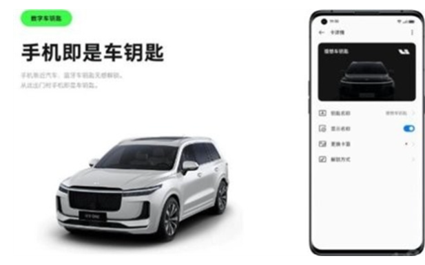 ܳappٷ