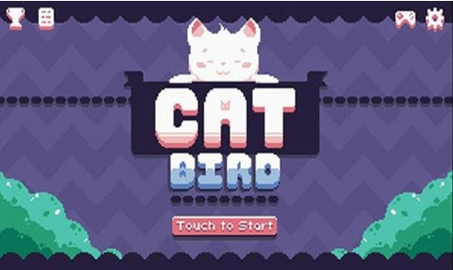 cat birdֻ