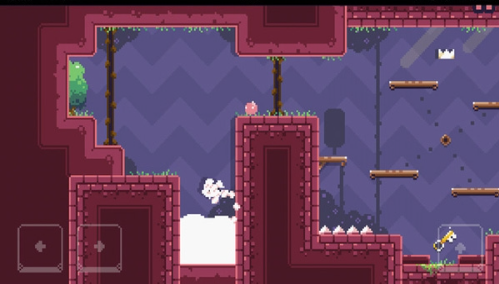 cat birdֻ