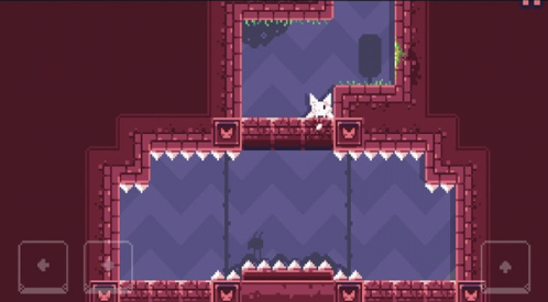 cat birdֻ