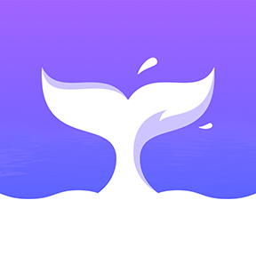 RocNovel°v1.0.34 ׿