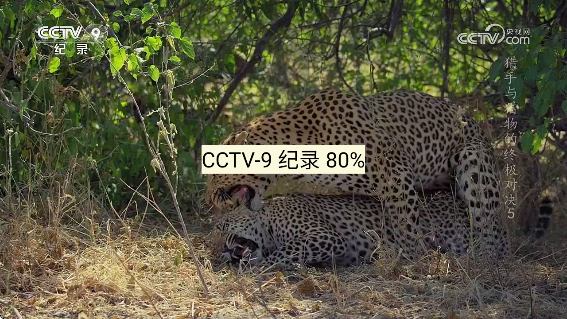 TVappv20251014 ׿