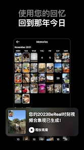 bereal׿v3.55.0 °