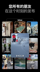 bereal׿v3.55.0 °