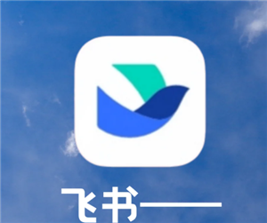 飞书文档撤回上一步快捷键 飞书文档怎么保存到本地 飞书文档撤回上一步快捷键 飞书文档怎么保存到本地