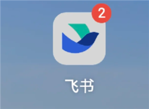 飞书app怎么注销账号 飞书app注销账号步骤 飞书app怎么注销账号 飞书app注销账号步骤