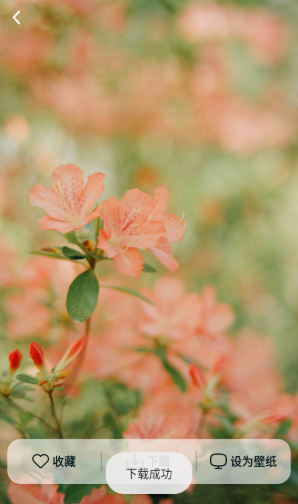 灵蝶壁纸app手机版 灵蝶壁纸app手机版