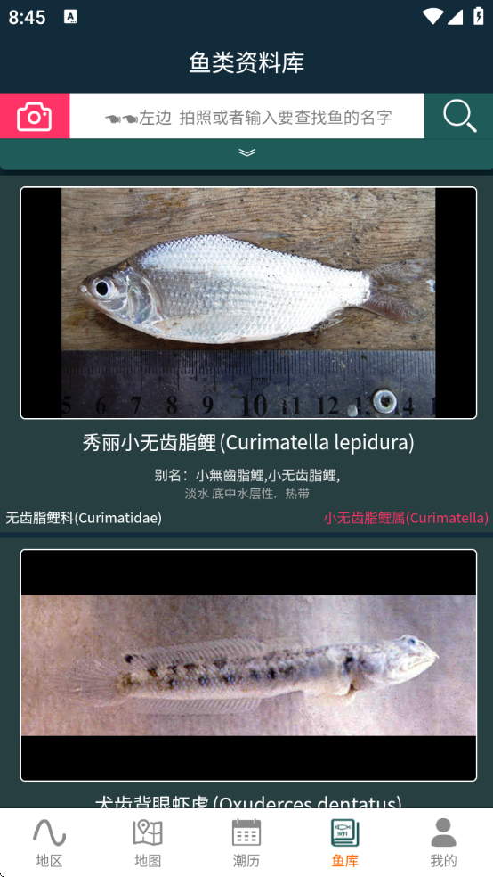 潮汐表精灵app下载安装 潮汐表精灵app下载安装