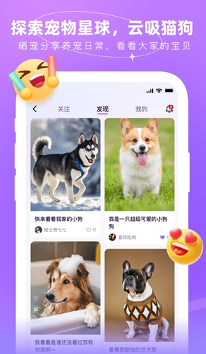 佩佩宠圈手机版下载 佩佩宠圈手机版下载