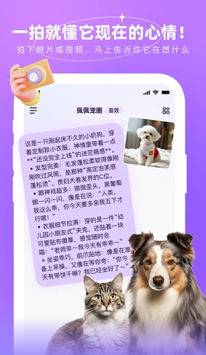 佩佩宠圈手机版下载 佩佩宠圈手机版下载