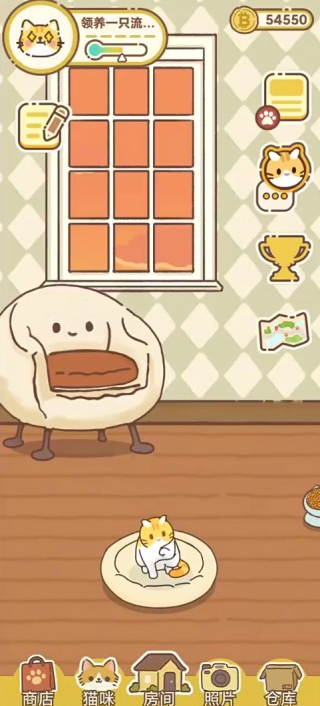 领养一只流浪猫游戏最新版下载 领养一只流浪猫游戏最新版下载