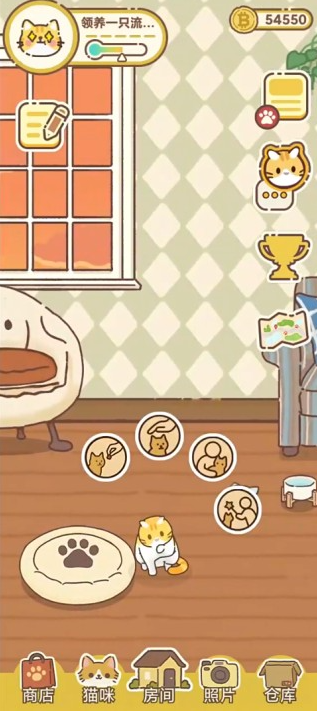 领养一只流浪猫游戏最新版下载 领养一只流浪猫游戏最新版下载