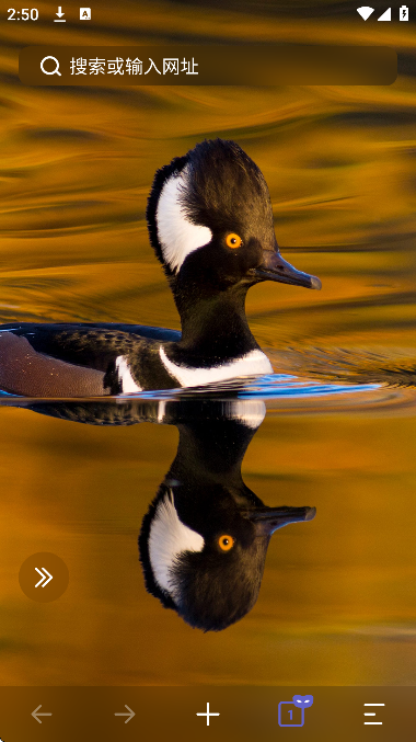 乐感浏览器安卓版下载安装 乐感浏览器安卓版下载安装