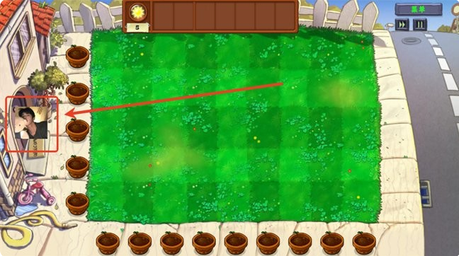 ֲսʬİ(Plants Vs Zombies Golden chess)