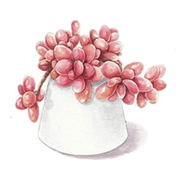 ⻨ݳɳռǹٷv1.9 ׿