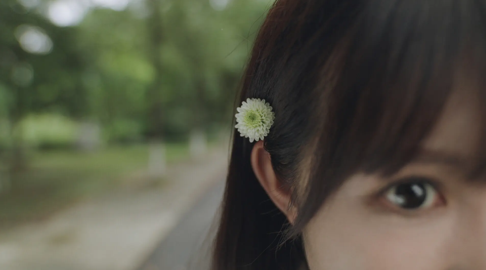 ϷʱѰ׹ٷv1.0.0.1 ׿