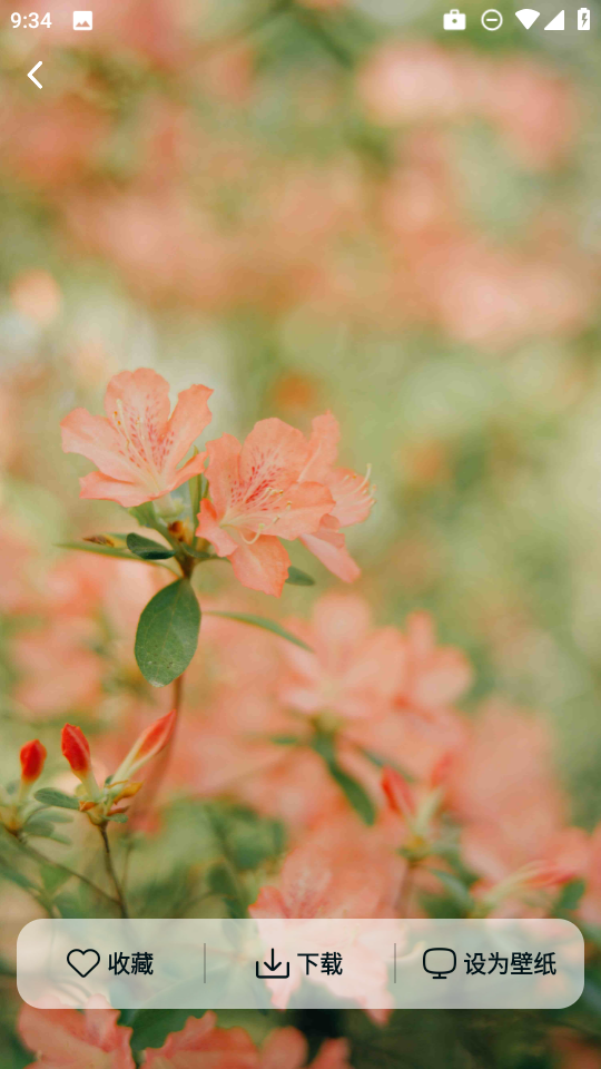 灵蝶壁纸app手机版v1.0.0 安卓版 灵蝶壁纸app手机版v1.0.0 安卓版