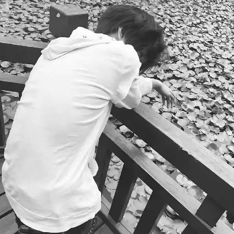 ҫԶѰ(ҫԶ2.0)v2.0 ׿