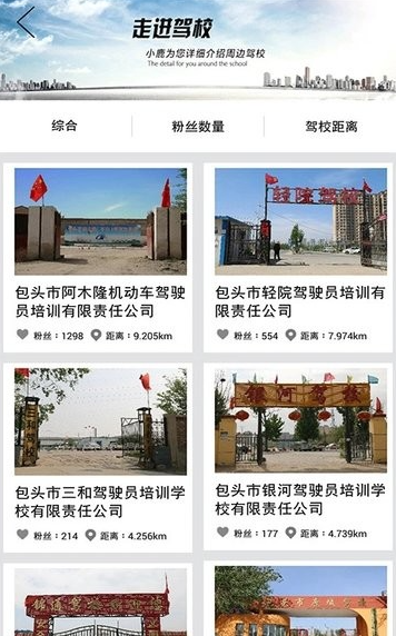 小鹿学车GB版官方正版下载 小鹿学车GB版官方正版下载