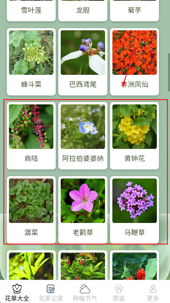 ����Ȥ���������ذ�װ��Ѱ�