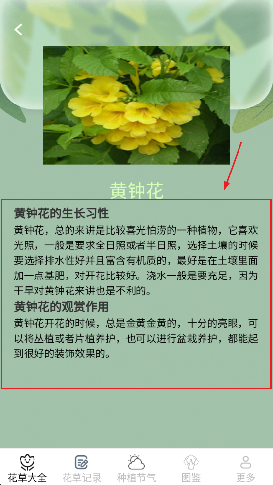 ����Ȥ���������ذ�װ��Ѱ�