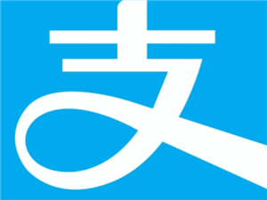 ֧����ת���޶���� ֧����ת���޶���ô����