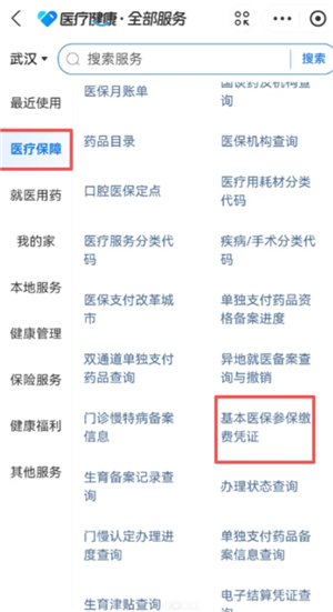 ֧������ô����˽�ҽ�� ֧������ҽ������