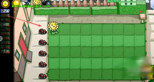 ħ��ֲ��ս��ʬ����