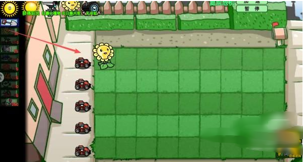 ħ��ֲ��ս��ʬ����