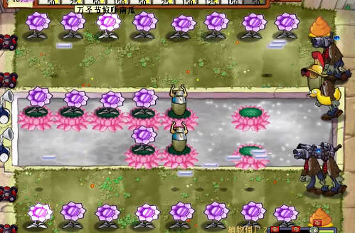 ħ��ֲ��ս��ʬ����