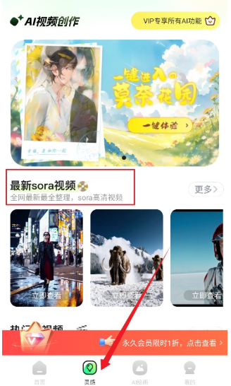 ������Ƶai���°�����