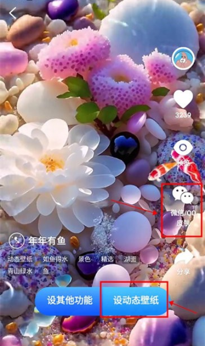 3Dָ���ֽapp�����ֻ���