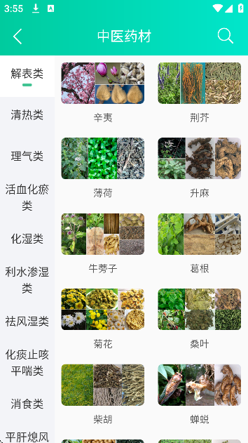 ����Ѩλͼ�������������°�