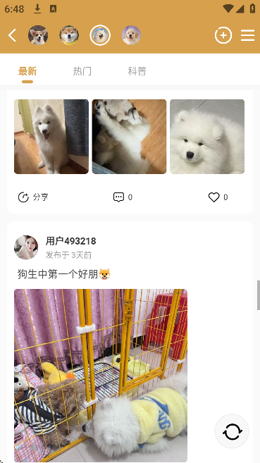 �����������������ֻ���